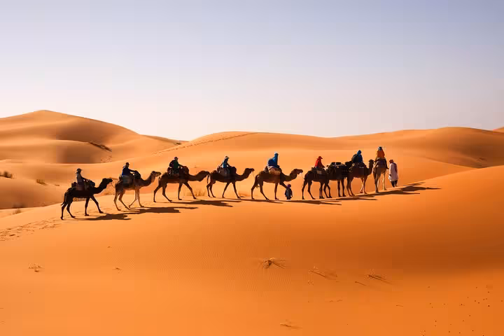 Group of travelers enjoying a camel trekking adventure across stunning golden dunes under a clear blue sky.