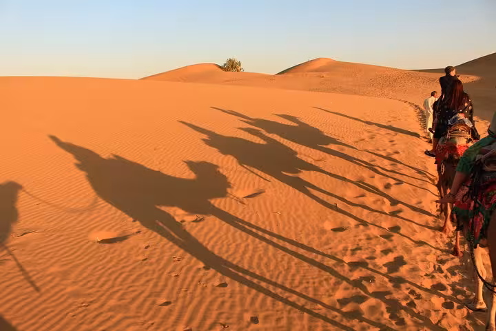 Long shadows of camels and riders cast on golden sand, capturing the essence of a serene desert trekking adventure.