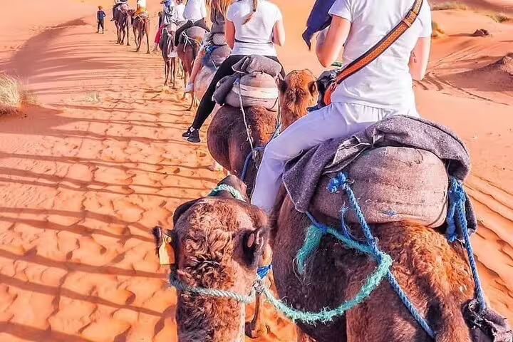 Camel trekking in Erg Chebbi dunes, Merzouga on 4 days 3 nights desert tour from Marrakech with sunset ride
