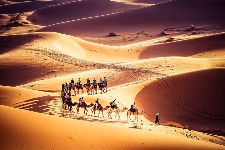 A line of camels with riders trekking through stunning desert dunes at sunset, ideal for adventurous camel tours.