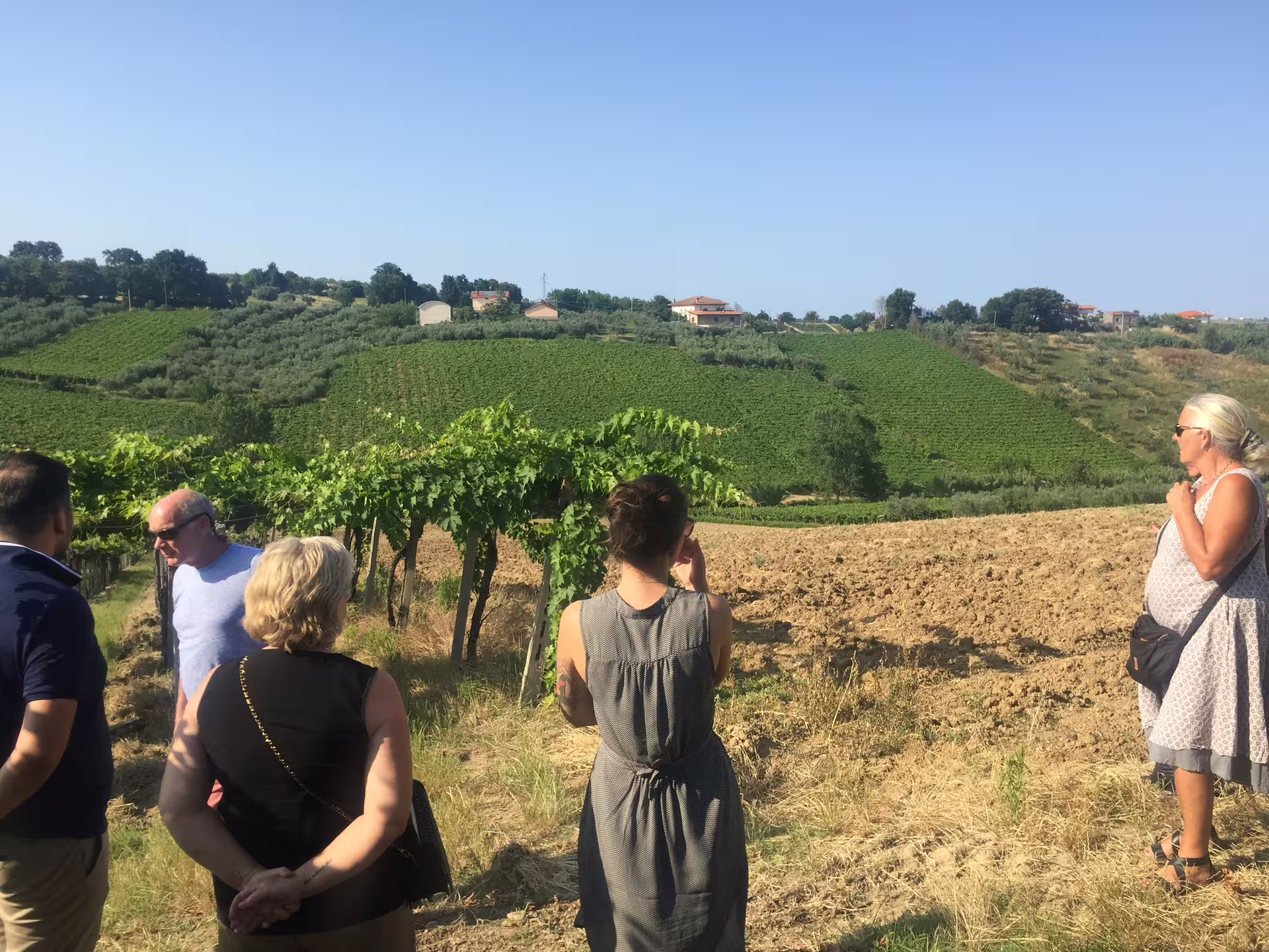 Guests strolling Cantine Mucci vineyards on a guided winery visit, overlooking rolling hills before wine tasting
