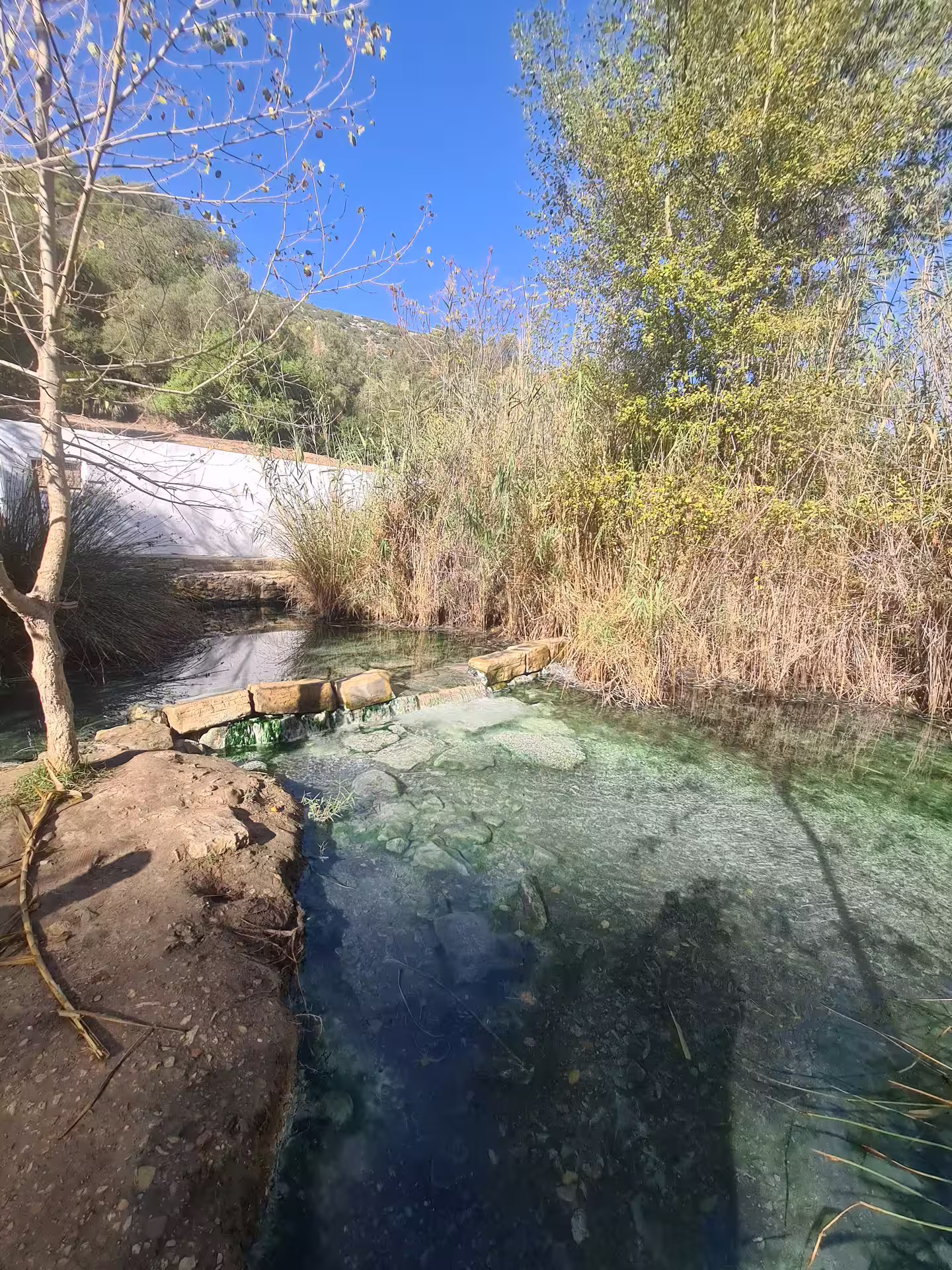Serene view of Canuto de la Utrera with clear stream and lush greenery, ideal for a private hiking adventure.