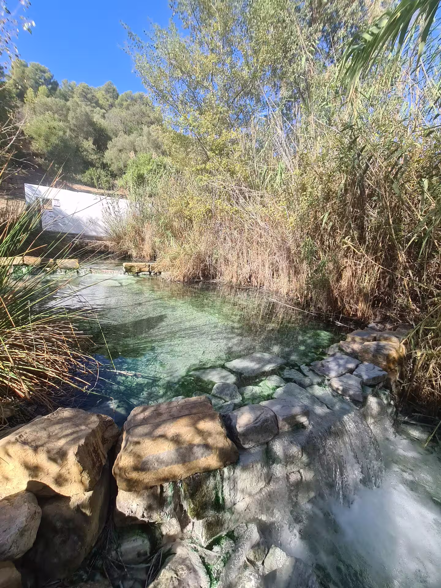 Tranquil waters flowing over rocks surrounded by dense foliage at Canuto de la Utrera, perfect for hiking tours.
