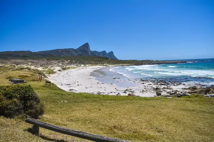 Scenic view of Cape of Good Hope's pristine beach with clear blue skies and rugged mountain backdrop.