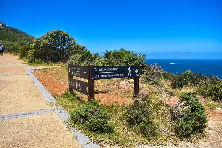 Cape of Good Hope walking trail sign against a backdrop of lush greenery and ocean view.