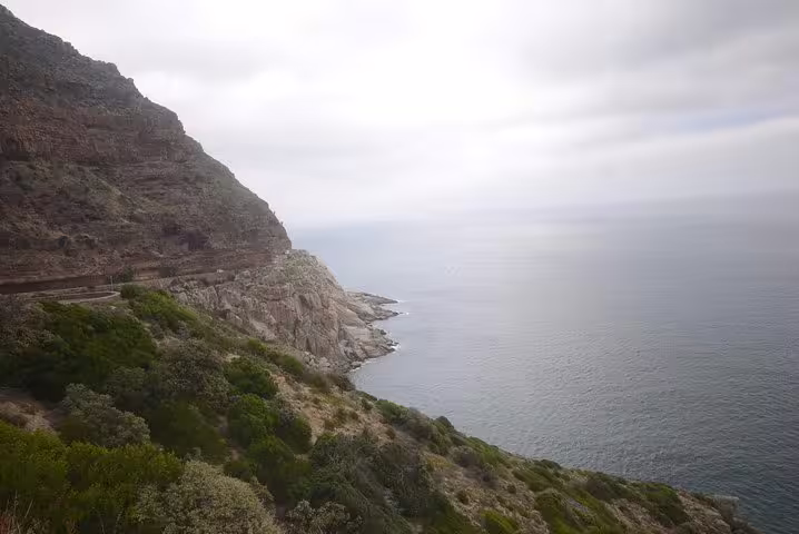 Scenic view of Cape of Good Hope coastline with lush cliffs and expansive ocean under a cloudy sky.