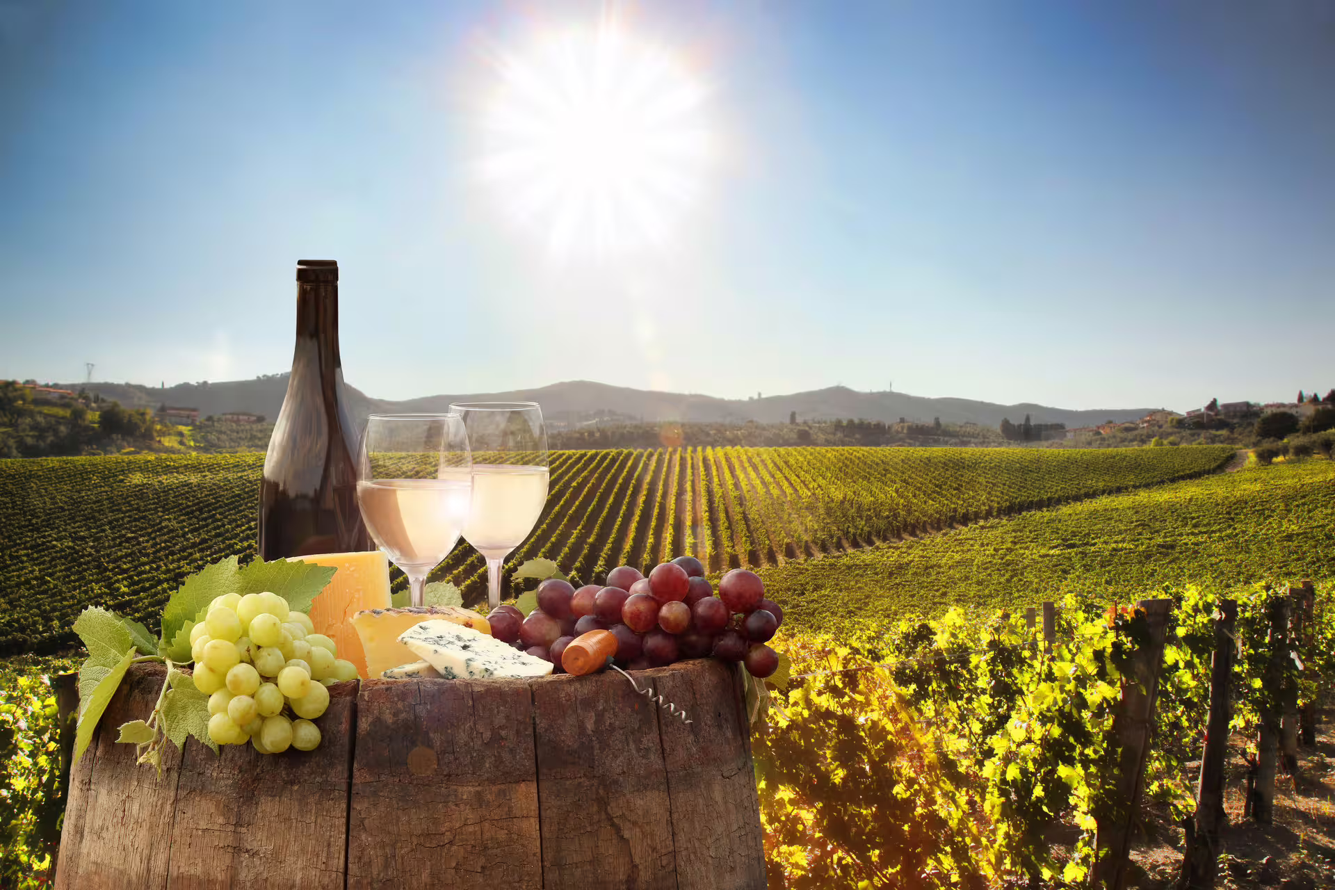 Scenic Cape Winelands vineyard with wine, cheese, and grapes under a sunny sky, perfect for a full-day tour.