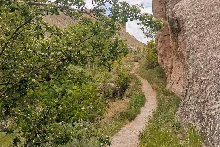 Scenic hiking trail between rock walls and greenery in Ihlara Valley, part of the Cappadocia Green Tour