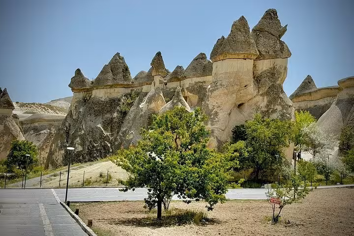 Cappadocia private tour stop at Devrent Valley fairy chimneys and volcanic rock formations in Turkey