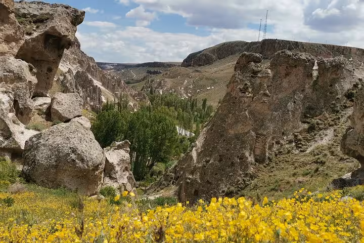 Cappadocia valley viewpoint with volcanic rock formations and spring wildflowers on a 6-day Turkey tour