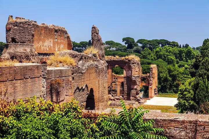 Ancient brick walls and arches of the Baths of Caracalla rising above lush trees on a private archaeological tour in Rome