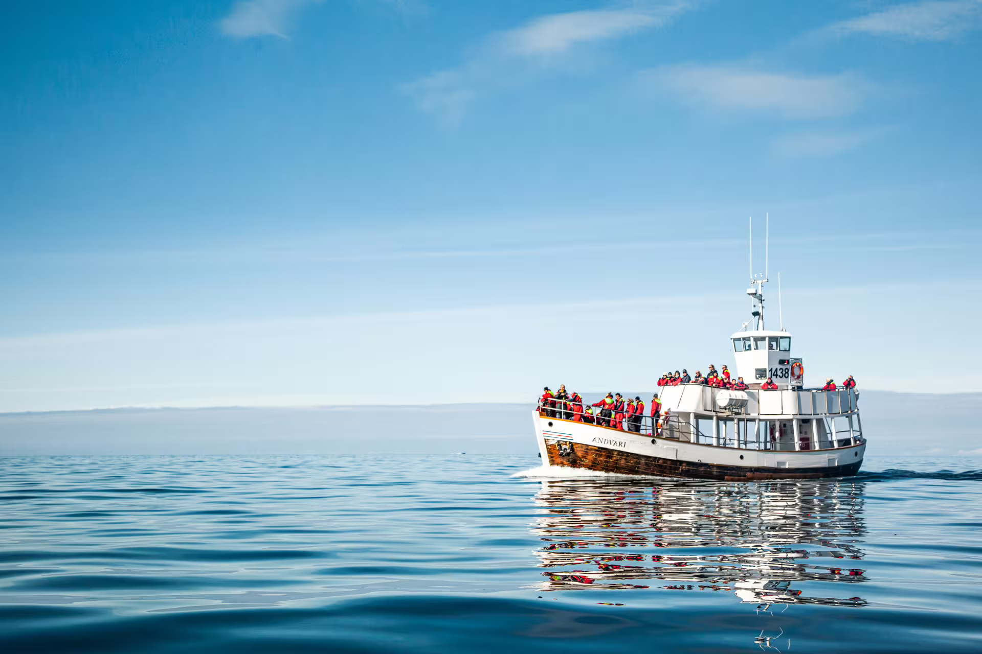 A group of tourists enjoy a serene, carbon-neutral whale watching tour on a calm ocean under a clear blue sky.