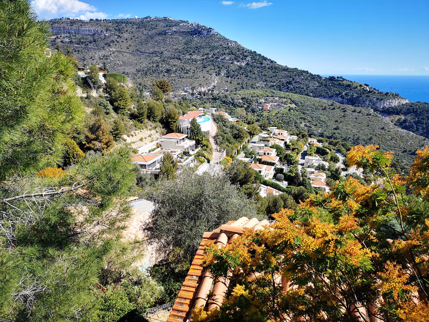 Hillside villas and coastal views near Cassis on a private day trip to Le Castellet, Cassis and Marseille