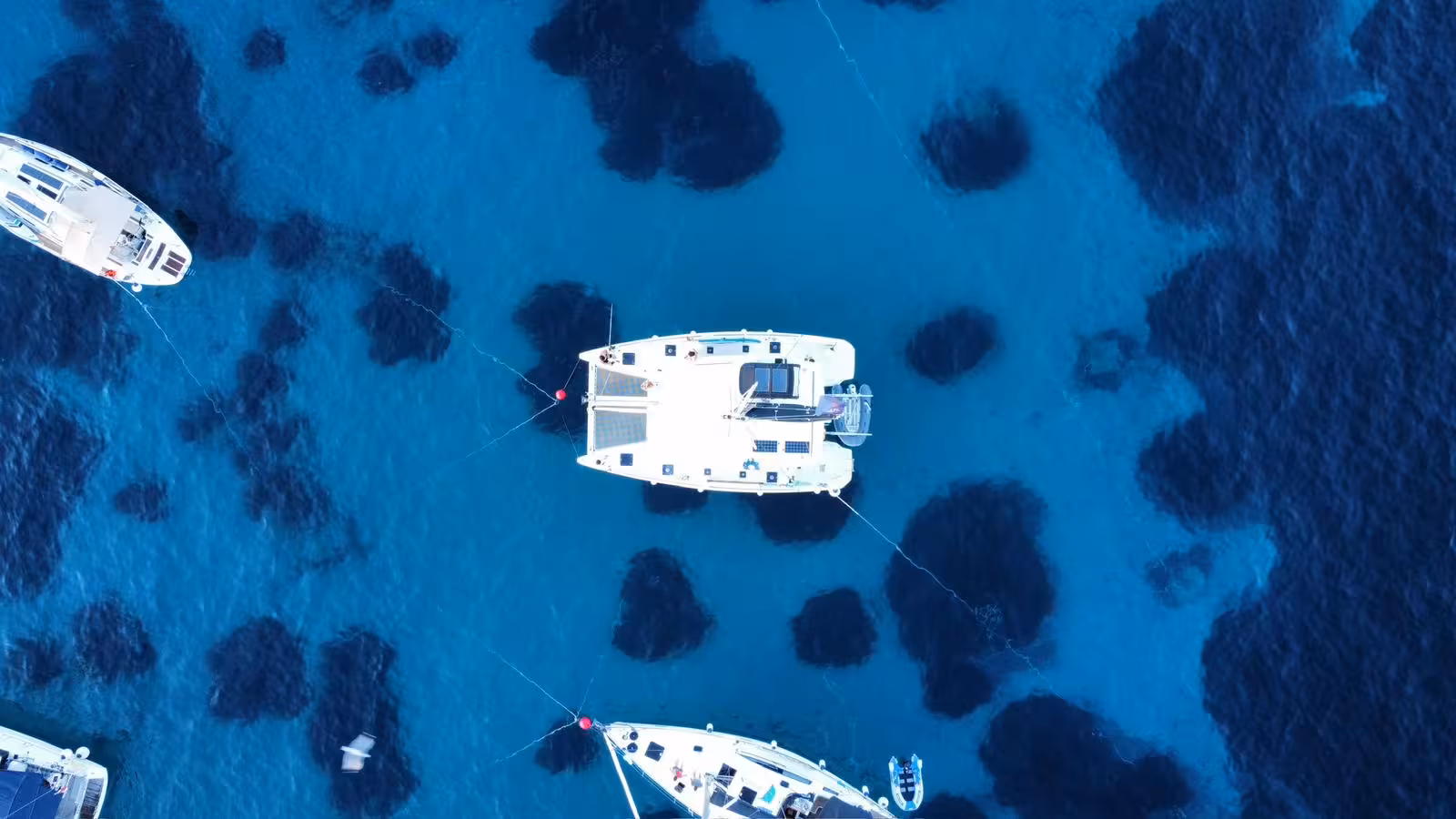 Top-down drone view of catamarans anchored over clear blue sea, ideal for a sailing adventure snorkeling stop