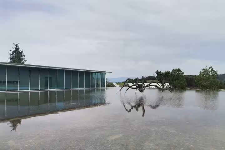 Reflecting pool and contemporary sculpture at Château La Coste, Provence wine estate art walk experience