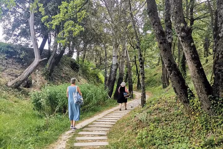 Guests walking a shaded woodland path at Château La Gaude, Aix-en-Provence wine and art day tour