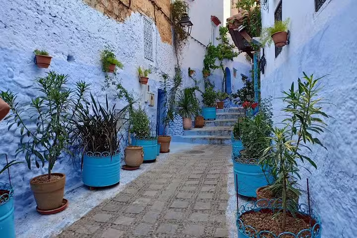 Chefchaouen blue alley with potted plants, highlight on 9-day Morocco tour from Casablanca itinerary