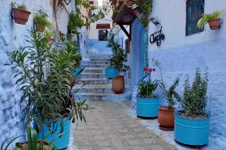 Blue-washed alley with steps and potted plants in Chefchaouen on a 2-day trip from Casablanca