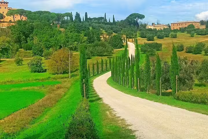 Scenic cypress-lined road through rolling Chianti vineyards and farms experienced on Chianti Classico Black Rooster wine tour