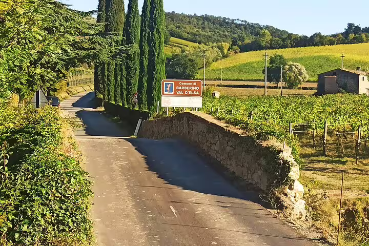 Scenic country road lined with cypress trees leading to Barberino Val d’Elsa, gateway to Chianti Classico vineyards and wine tours