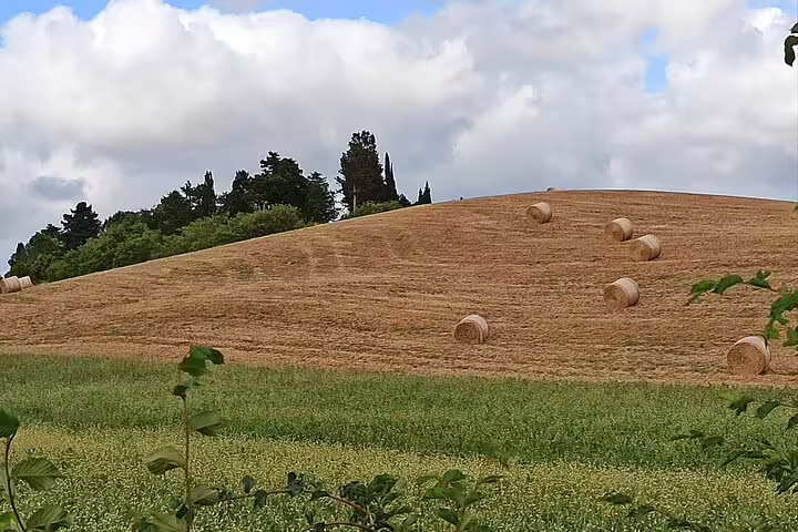 Golden Tuscan hillside with hay bales and green fields seen during the Good Morning Chianti Classico countryside tour