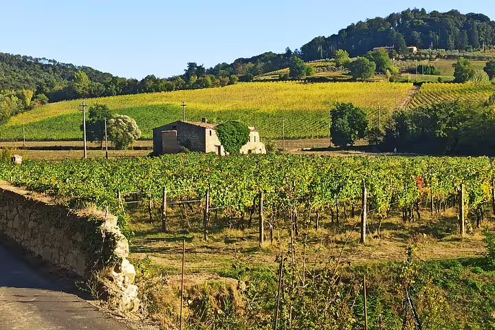 Sunlit Chianti Classico vineyard with stone farmhouse and rolling Tuscan hills visited on a morning wine tasting tour