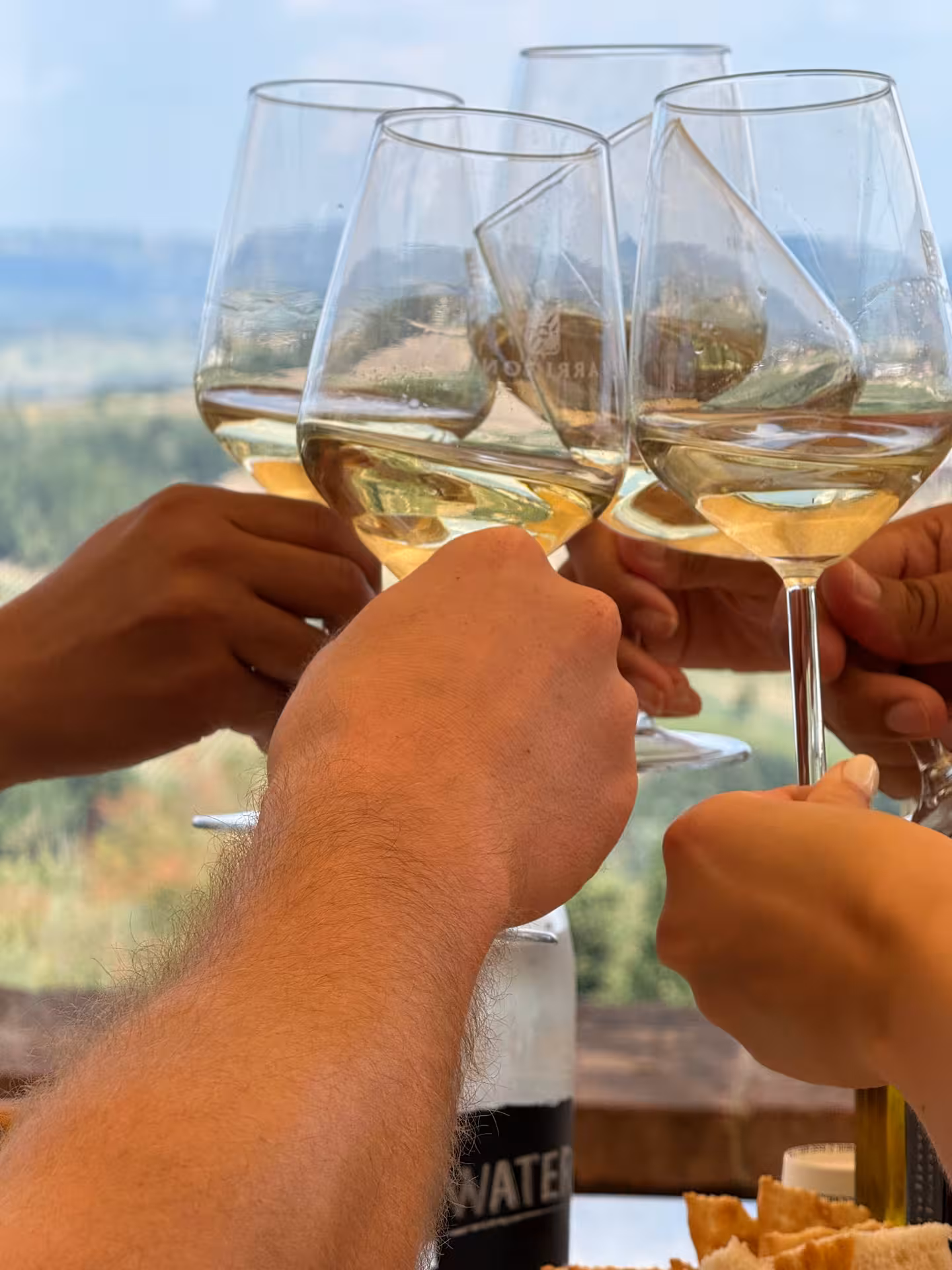 Group toasting with white wine glasses against a scenic Chianti backdrop, ideal for a private wine tour.