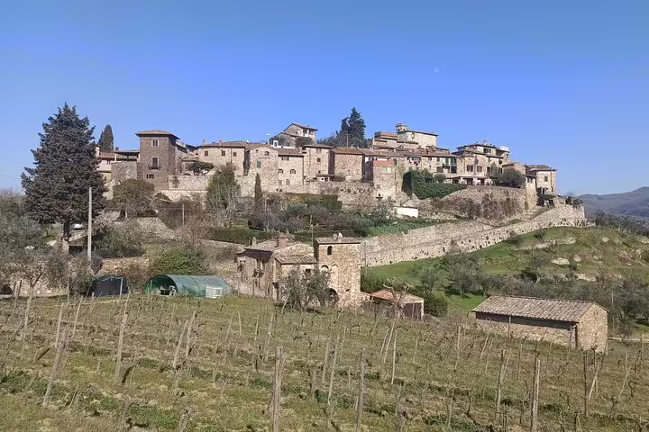Hilltop village and vineyards in Chianti countryside visited on private afternoon wine tour with two wineries