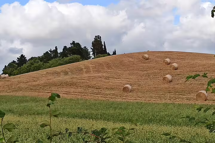 Rolling Tuscan hillside with hay bales and green fields, typical Chianti landscape on a private countryside wine tour