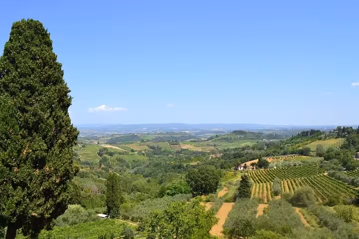 Expansive view of Chianti's rolling vineyards under a clear blue sky, ideal for a private wine tasting tour.
