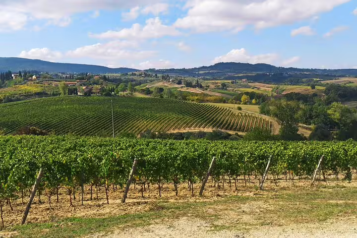 Rolling Chianti vineyards under a bright Tuscan sky, showcasing the scenic hills visited on the private wine tour and lunch