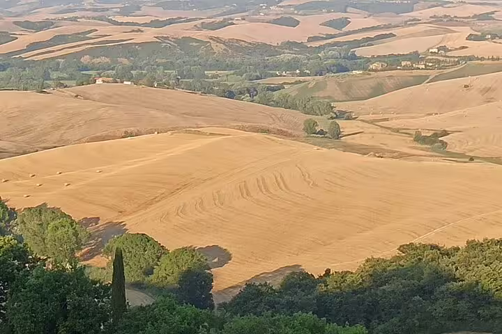 Golden rolling hills and vineyards in the Chianti countryside, ideal start to a private wine tour with cellar visits and lunch