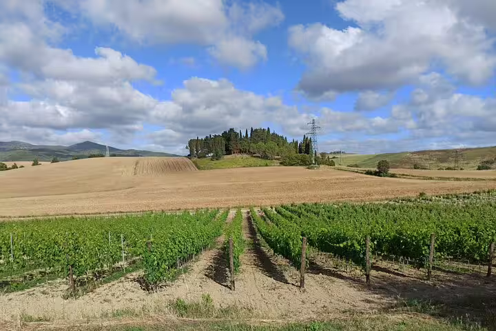 Lush Chianti vineyards and cypress-topped hill under dramatic Tuscan sky, featured on a three-cellar wine tasting tour