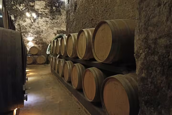 Traditional oak barrels aging wine in an atmospheric Chianti cellar, part of a guided Tuscan winery and lunch experience