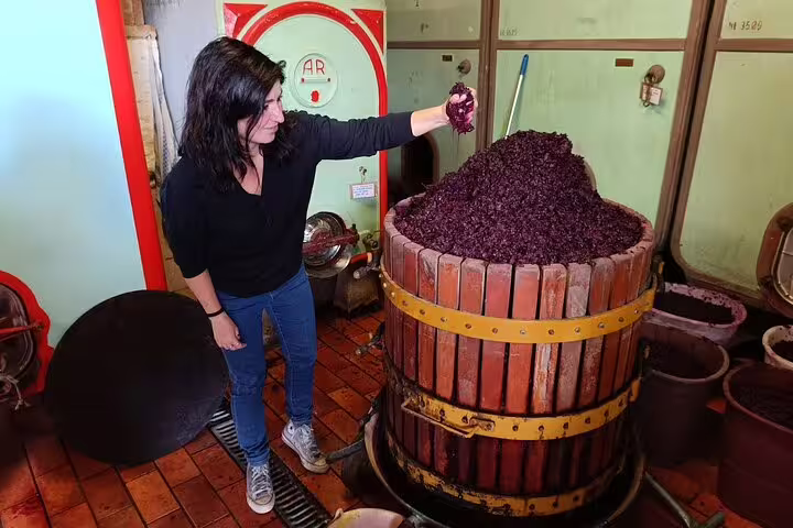 Winemaker demonstrating grape pomace in a traditional Chianti cellar during a private wine tour with lunch and tastings in Tuscany