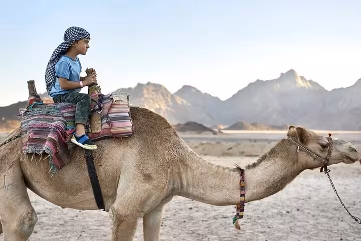 Child riding a camel in Marsa Alam desert, part of jeep and quad safari experience with Bedouin dinner