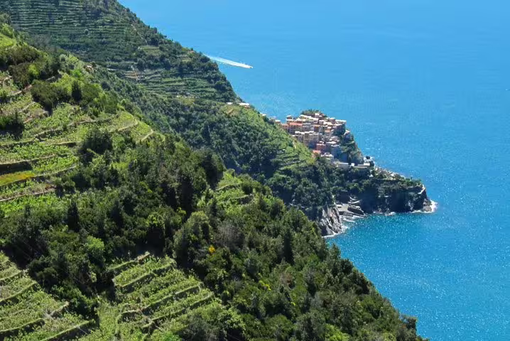 Terraced vineyards and lush hillsides descending to the turquoise Ligurian Sea on a private Cinque Terre and Portovenere tour