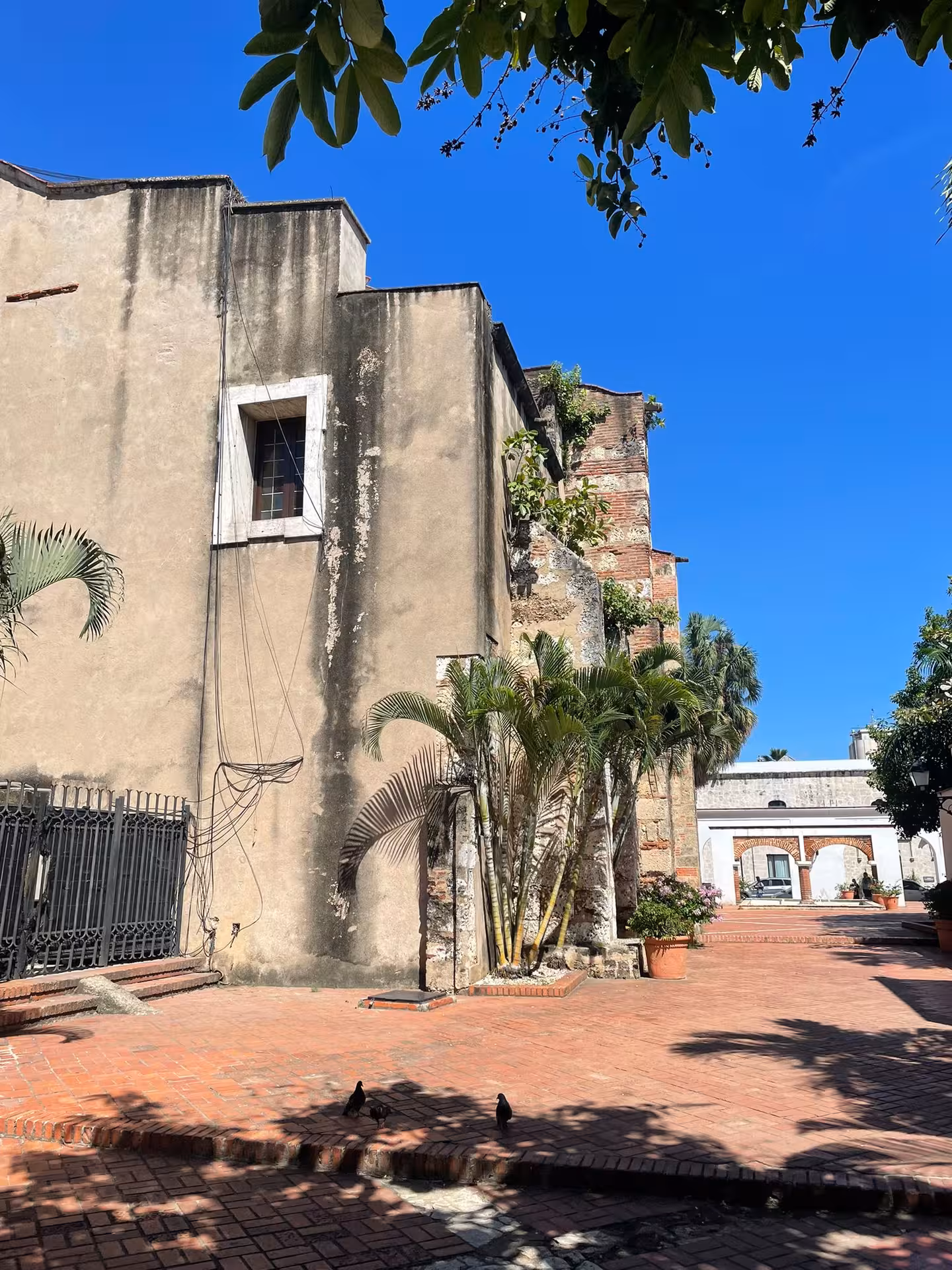 Colonial Zone Santo Domingo courtyard with palm trees and historic walls on Dominican culture tour