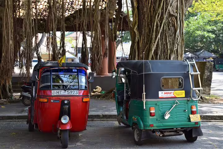 Colorful tuk tuk parked under shady trees, ideal for a private Egypt tuk tuk city tour experience