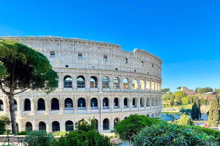 Panoramic view of the Colosseum in Rome with lush greenery, included in a private VIP tour with skip-the-line entrance