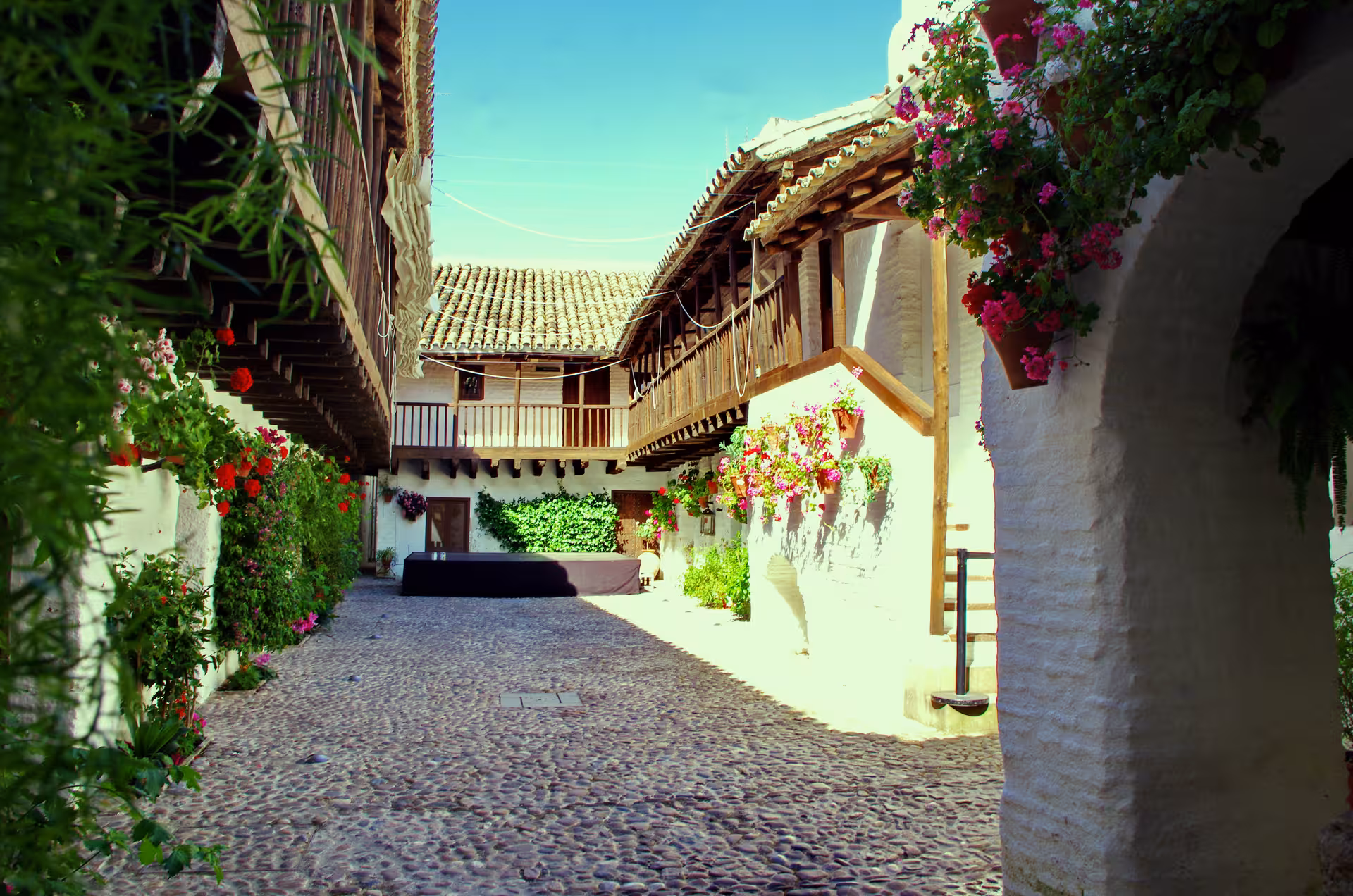 Flower-filled Andalusian courtyard and cobblestone lane in Córdoba on Free Misterios y Leyendas tour