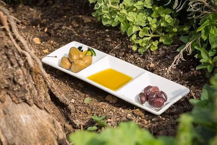 Corfu private tour olive grove tasting with Corfiot olives and extra virgin olive oil served outdoors