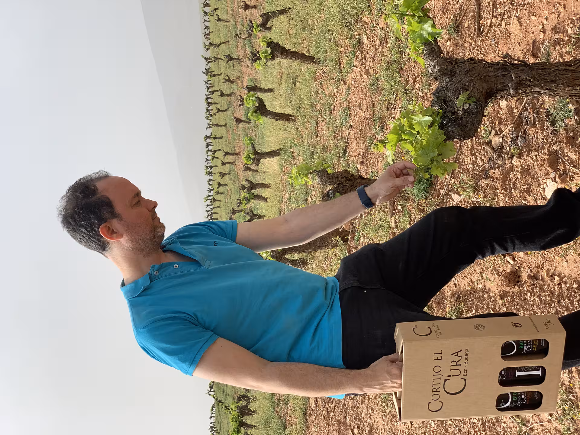 Person inspecting vineyard with Cortijo el Cura wine box, emphasizing sustainable vineyard tour.