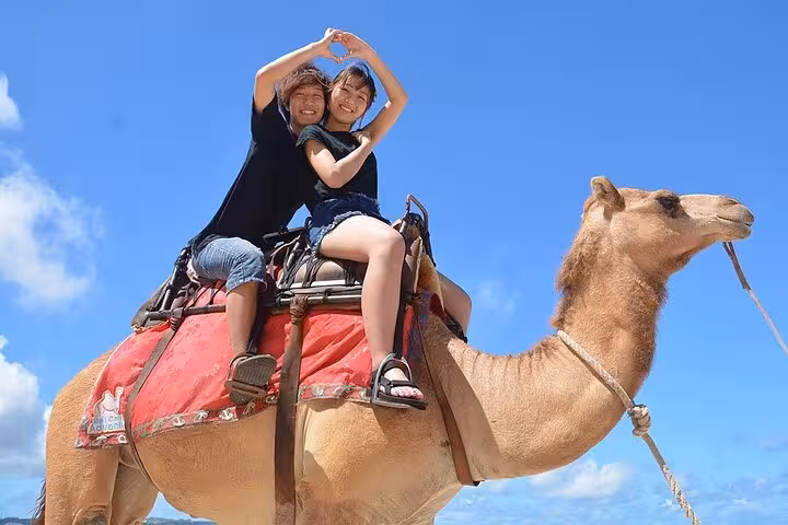 Couple riding a camel under blue sky on Hurghada desert tour, one-hour camel ride with hotel transfer