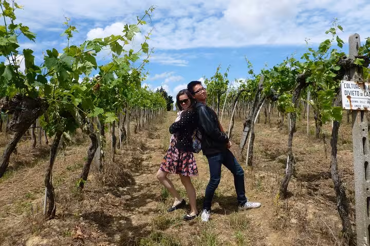 Couple enjoying a sunny day in a lush vineyard in Tuscany, perfect for a Pisa and Vinci wine tasting tour.