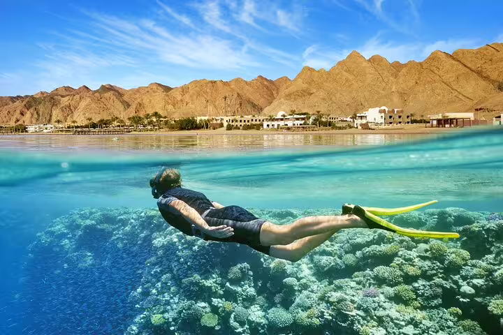 Snorkeler gliding over Dahab coral reef, Red Sea view on Dahab day tour from Sharm el Sheikh