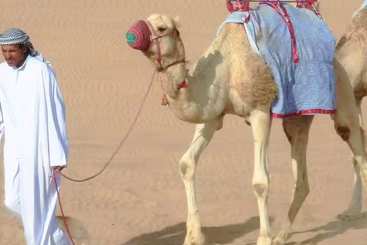 Traditional camel handler in desert attire leading a camel adorned in colorful gear across sunlit sand dunes.