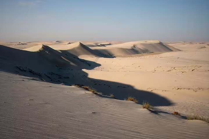 Expansive desert landscape with rolling sand dunes under a clear blue sky, perfect for safari explorations.