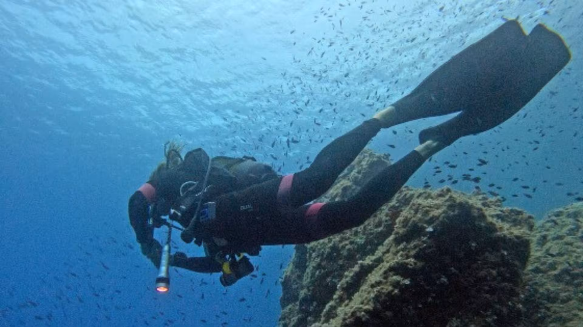 Diver with flashlight swims alongside a rocky reef in Porto Torres, ideal for an immersive diving baptism experience.