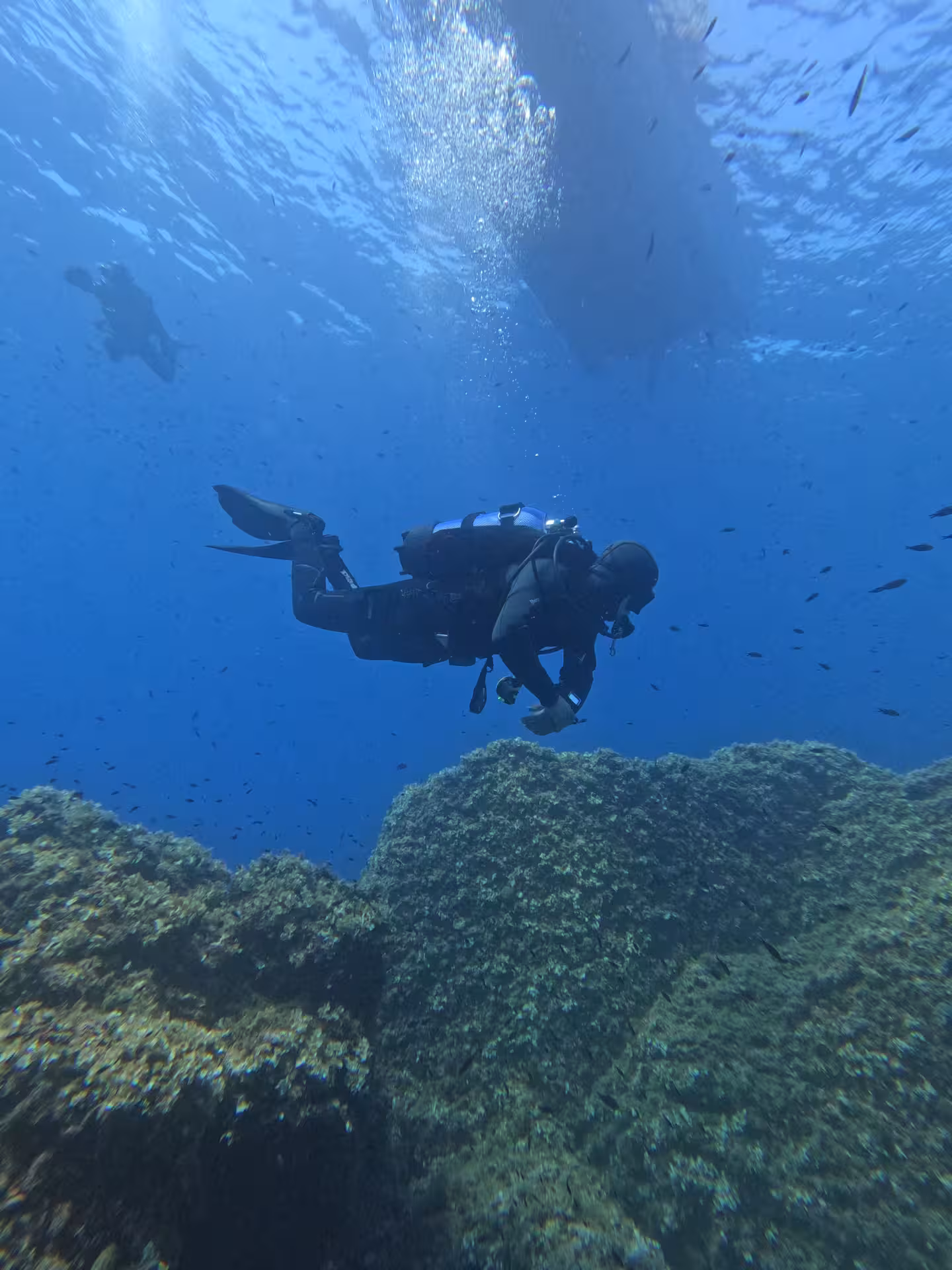 Diver in neutral buoyancy during safety stop.